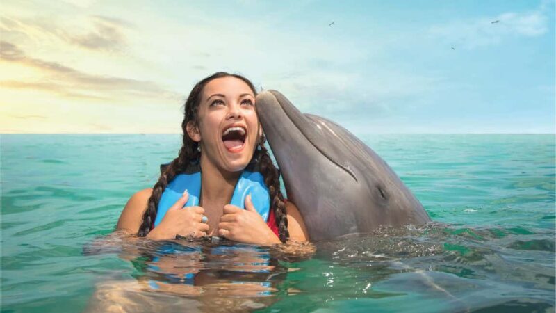 Puerto Aventuras: Dolphins, Manatee & Sea Lion interaction - Key Points