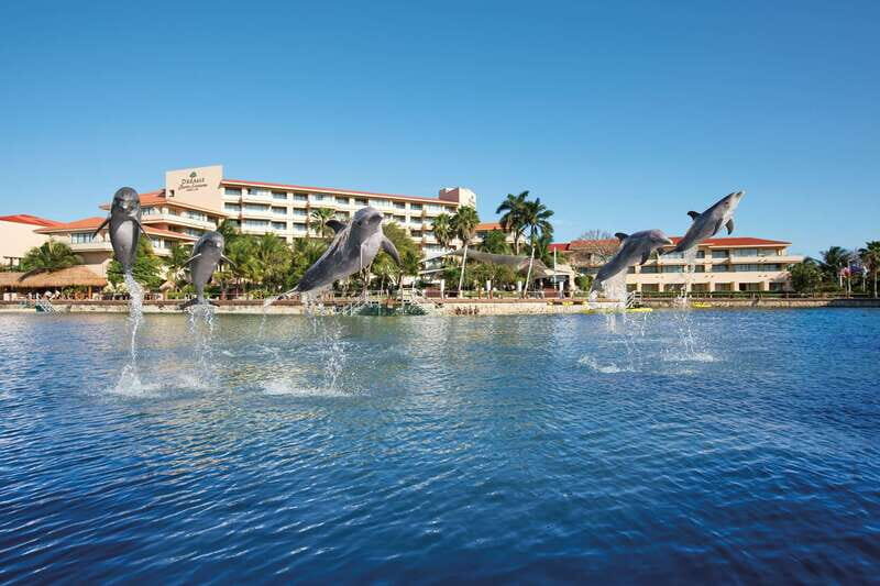 Puerto Aventuras: Dolphins, Manatee & Sea Lion interaction - Analyzing the Experience: What You Can Expect