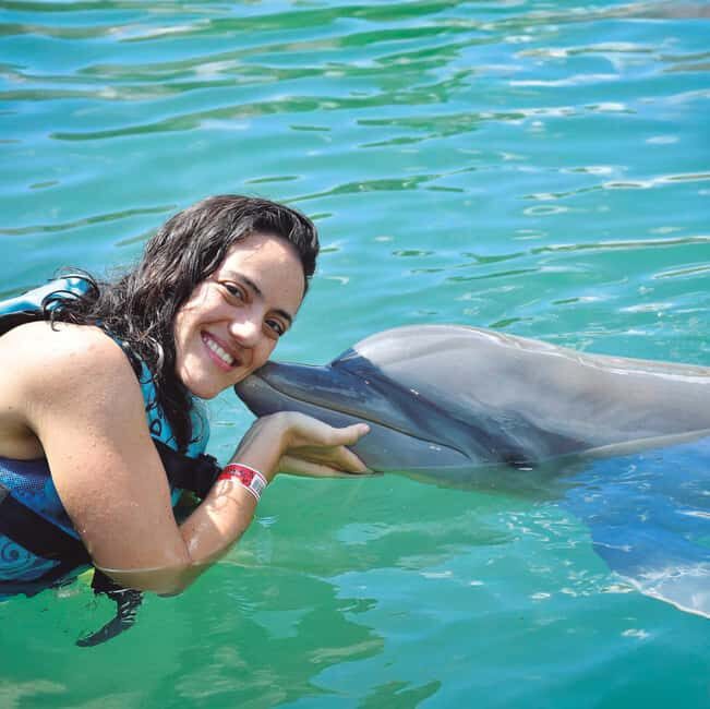 Puerto Aventuras: Dolphins, Manatee & Sea Lion interaction - The Value Proposition