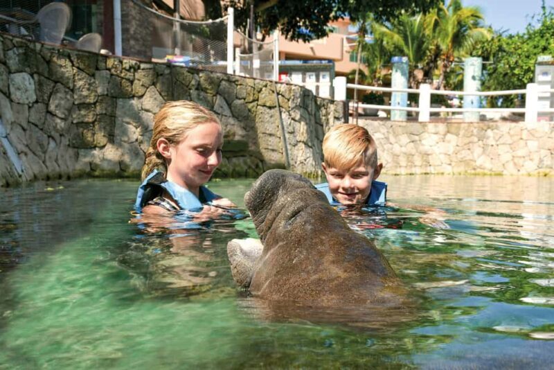 Puerto Aventuras: Dolphins, Manatee & Sea Lion interaction - FAQ