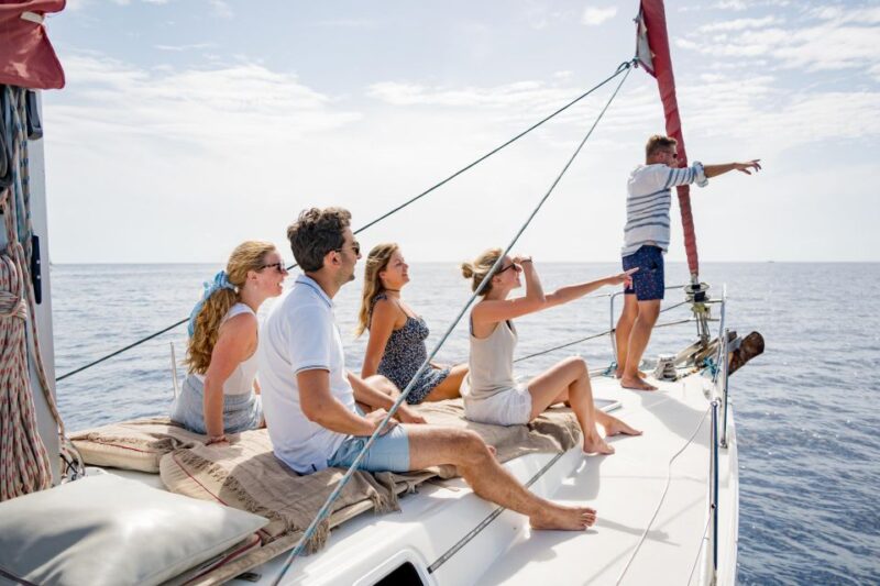 Puerto Colon: Whale and Dolphin Watching Yacht Trip - Key Points