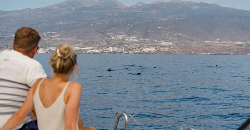Puerto Colon: Whale and Dolphin Watching Yacht Trip - Exploring the Itinerary