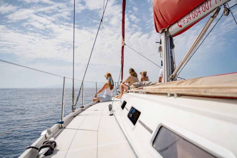 Puerto Colon: Whale and Dolphin Watching Yacht Trip - Preparation and Meeting Information
