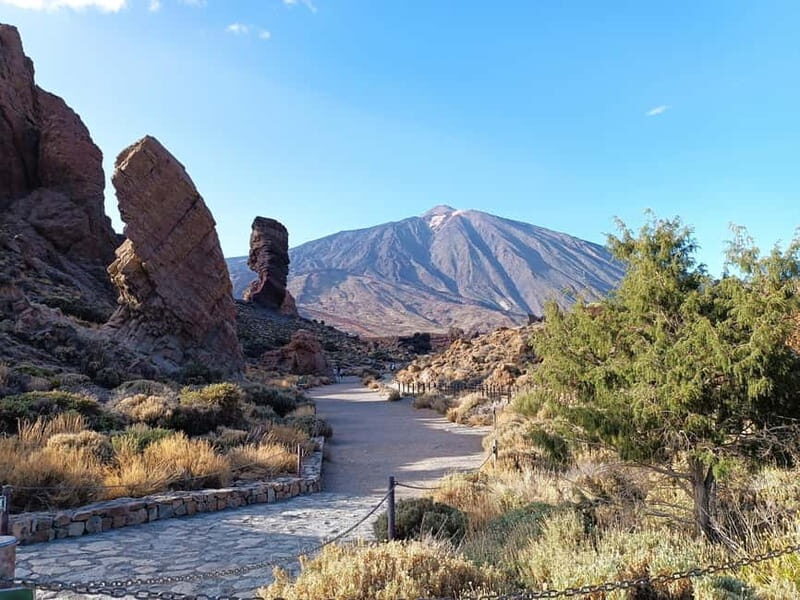 Puerto Cruz: VIP Teide Sunset & Stars, Guachiche Lunch+Cava - Who Will Love This Tour?