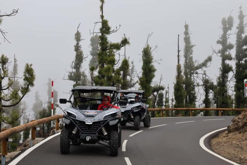 Puerto de la Cruz: Buggy Teide National Park Tour Lunar Land - Who Is This Tour Best For?