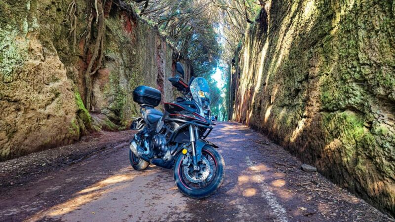 Puerto De La Cruz Motorbike Tour Through Teide National Park - Activity Highlights