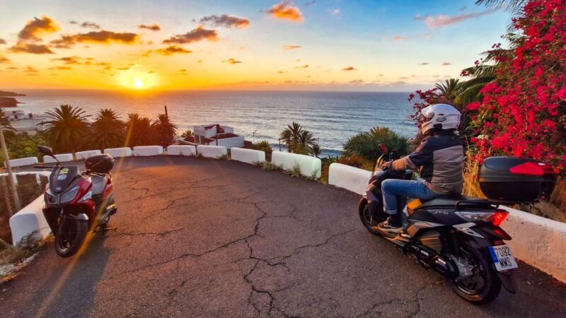 Puerto De La Cruz Motorbike Tour Through Teide National Park - Customer Feedback