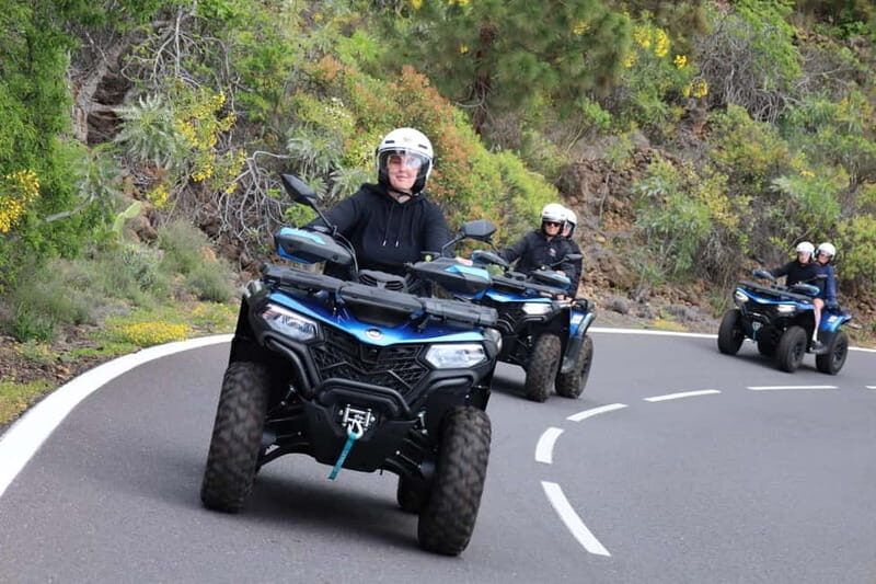 Puerto de la Cruz: Quad Trip Teide National Park - What Past Travelers Say