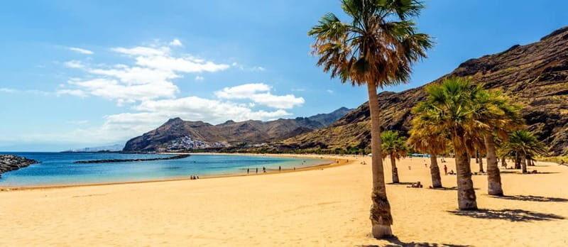 Puerto de la Cruz: VIP Getaway Tenerife Playa Teresitas, Science and Culture - Exploring the Day in Detail