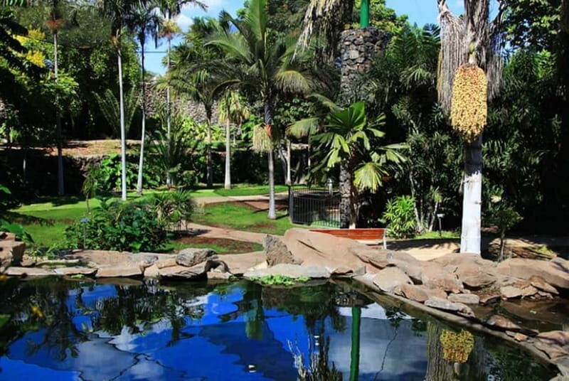 Puerto de la Cruz: VIP Getaway Tenerife Playa Teresitas, Science and Culture - Who Will Love This Tour?