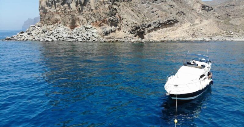 Puerto De Mogan: Boat Trip to See Dolphins and Snorkelling - Encounter With Diverse Dolphin Species