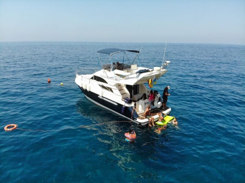 Puerto De Mogan: Boat Trip to See Dolphins and Snorkelling - Potential Sightings of Whales and Sea Turtles
