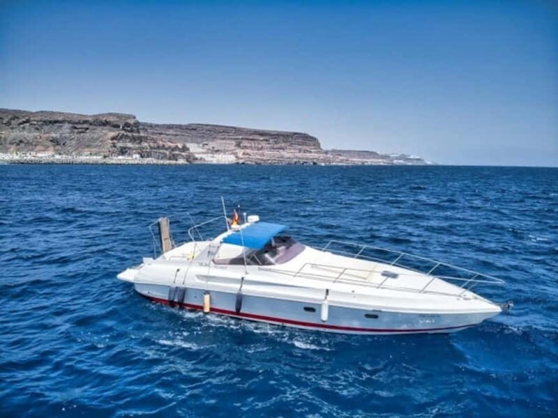 Puerto de Mogán: PRIVATE Yacht for up to 10 persons - A Closer Look at the Puerto de Mogán Private Yacht Tour
