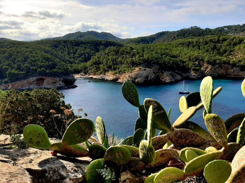 Puerto de San Miguel: Can Marçá Cave Guided Tour with Entry - Key Points