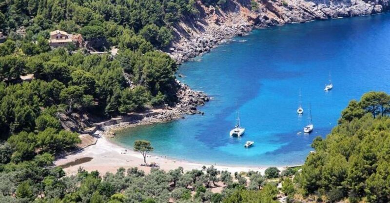 Puerto de Sóller: Cala Tuent Return Boat Trip - Introduction: Discovering Mallorca’s Hidden Coastline