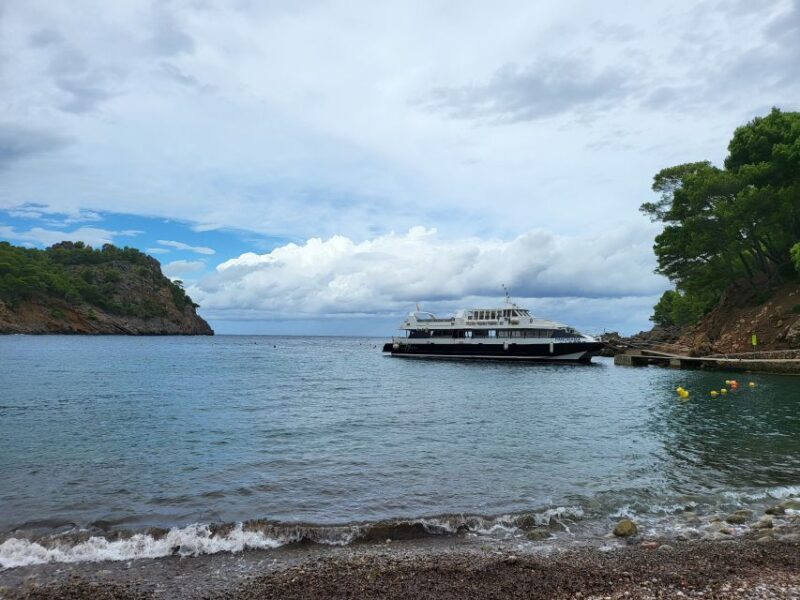 Puerto de Sóller: Cala Tuent Return Boat Trip - Key Points