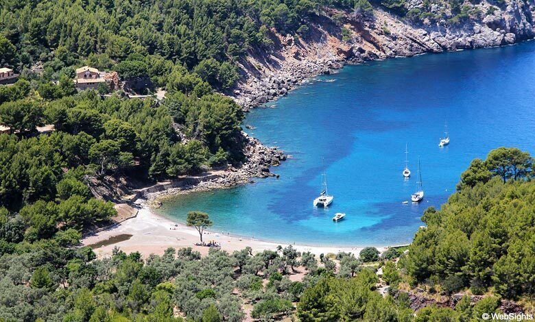 Puerto de Sóller: Cala Tuent Return Boat Trip - Value and Practicalities: What You Need to Know