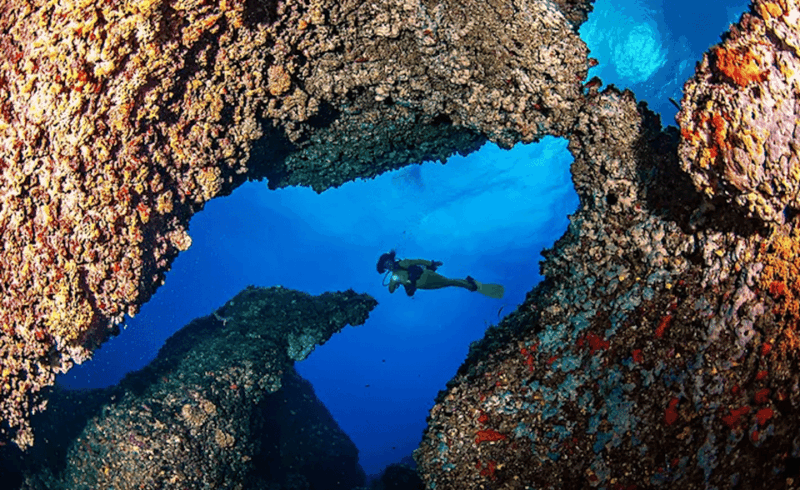 Puerto De Soller: Train and Discover Scuba Diving - Itinerary and Travel Details