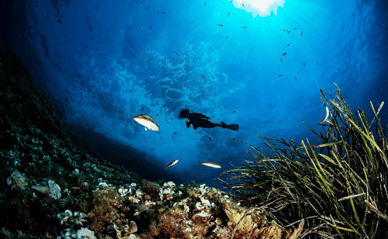 Puerto De Soller: Train and Discover Scuba Diving - Diving Experience Highlights
