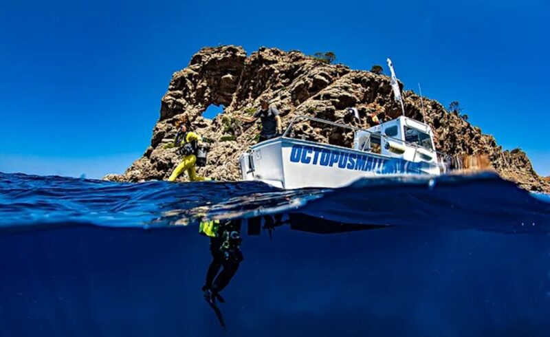 Puerto De Soller: Train and Guided Scuba Diving Experience - Key Points