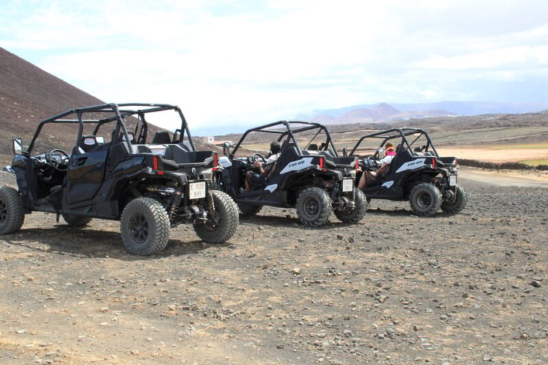 Puerto Del Carmen: Buggy Adventure - Group Size and Age Restrictions