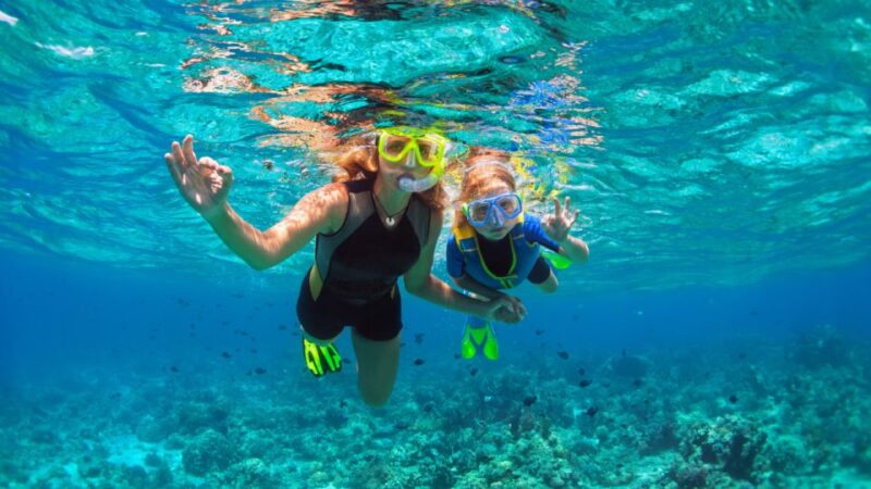 Puerto Del Carmen: Snokel Tour With an Instructor - Key Points