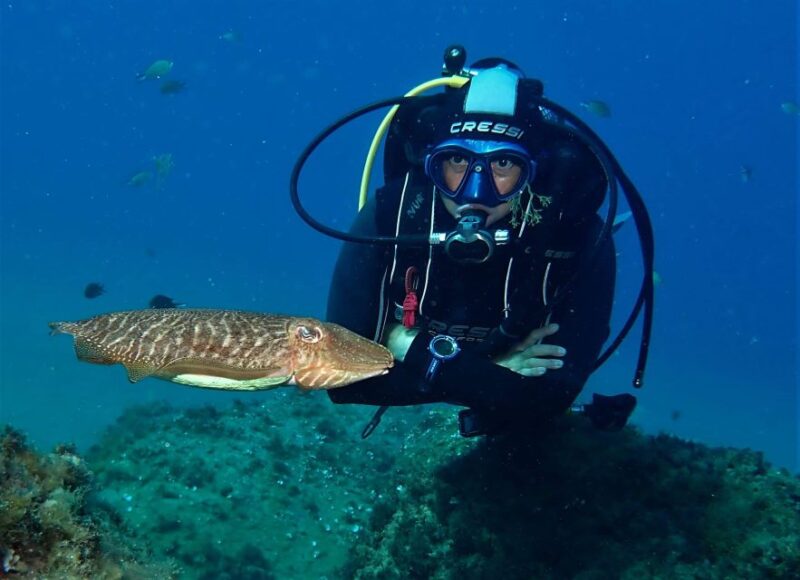 Puerto Del Carmen: Try Scuba Diving With 2 Dives and Photos - Key Points