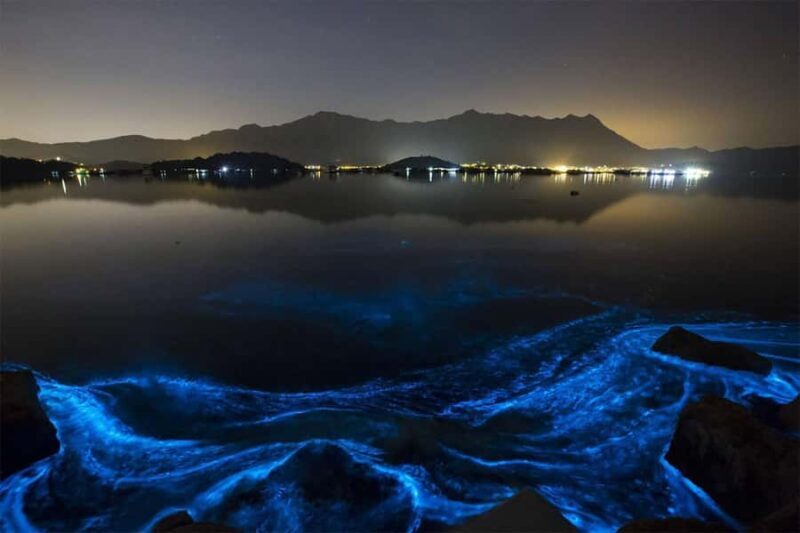 Puerto Escondido: Bioluminescence Night Tour with Boat - Practical Tips for a Smooth Experience