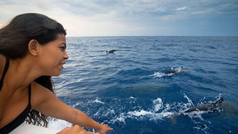 Puerto Escondido: Boat Tour among Dolphins and Turtles - Puerto Escondido: Boat Tour among Dolphins and Turtles