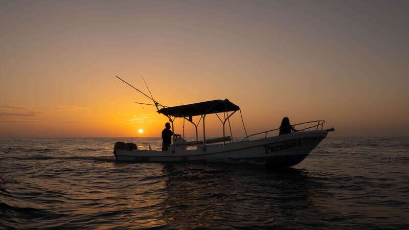 Puerto Escondido: Boat Tour among Dolphins and Turtles - A Practical Look at the Experience