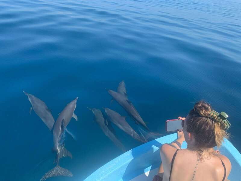 Puerto Escondido: Boat Tour to see Dolphins and Marine Life - A Practical Look at the Tour