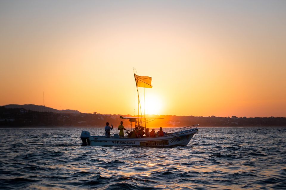 Puerto Escondido: Dolphin Watching - Key Points