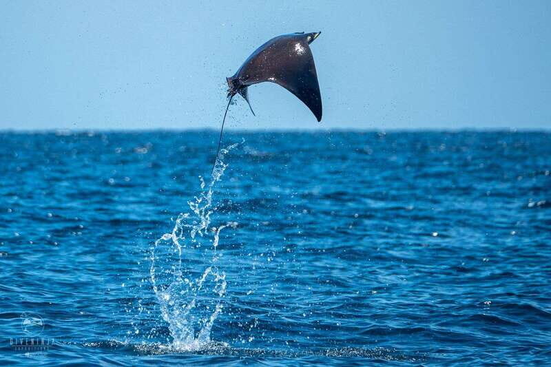 Puerto Escondido: Family Private Boat Tour - The Value of a Private Group Experience