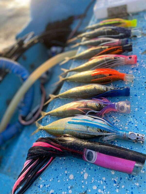 Puerto Escondido: Fishing Boat Trip with Buffet Lunch - What Makes This Tour Special?