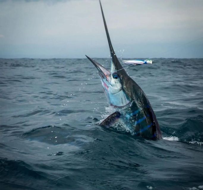 Puerto Escondido: Fishing Charter - Location and History
