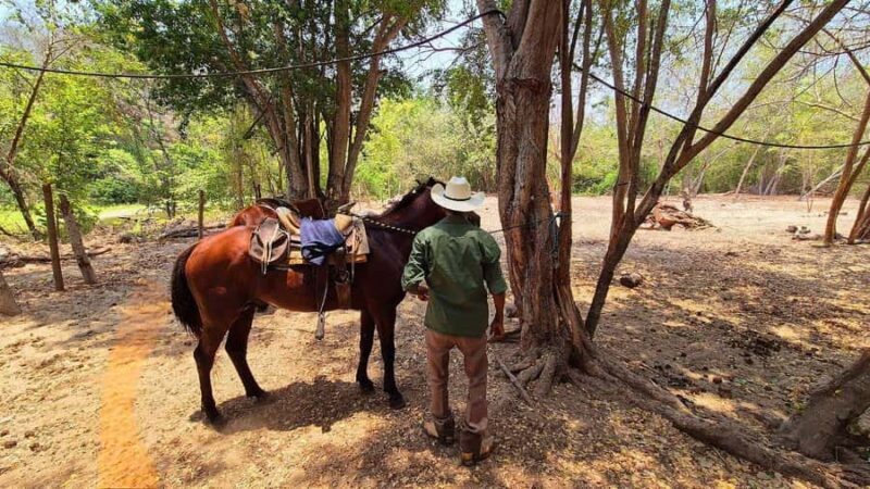 Puerto Escondido: Horseback Ride and Hot Springs Tour - FAQ