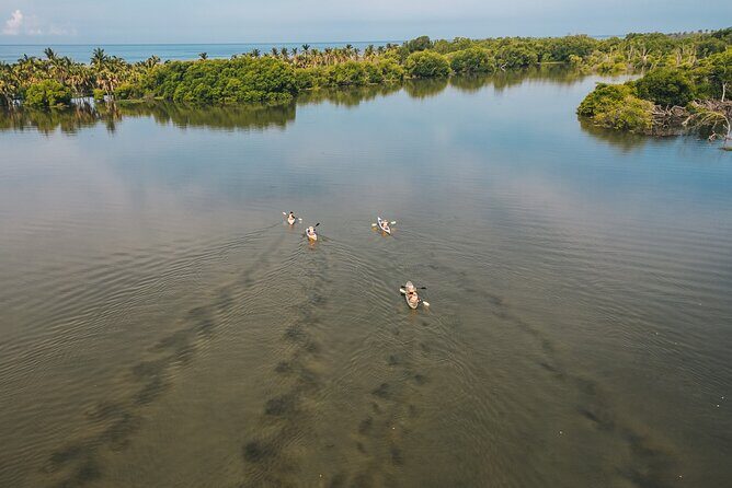 Puerto Escondido: Manialtepec Lagoon by Kayak - Authentic Experiences and Reviewer Insights