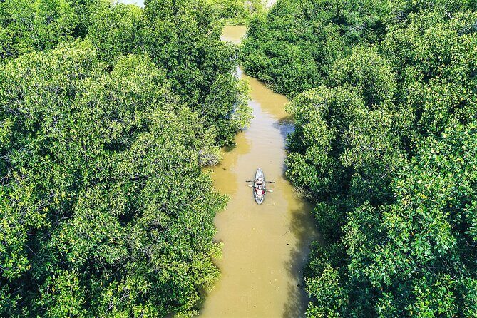 Puerto Escondido: Manialtepec Lagoon by Kayak - Who This Experience Is Best For