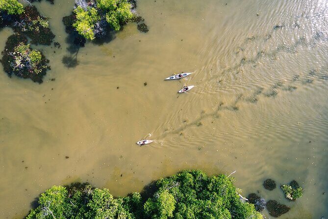 Puerto Escondido: Manialtepec Lagoon by Kayak - Frequently Asked Questions