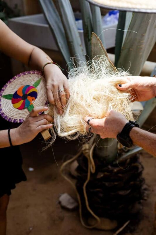 Puerto Escondido: Mezcal Distillery Tour and Tastings - Who Should Consider This Tour?