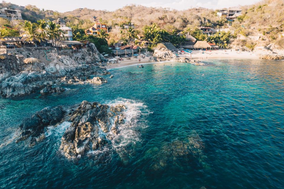 Puerto Escondido: Oaxaca Coast Wildlife Ecotour - Key Points