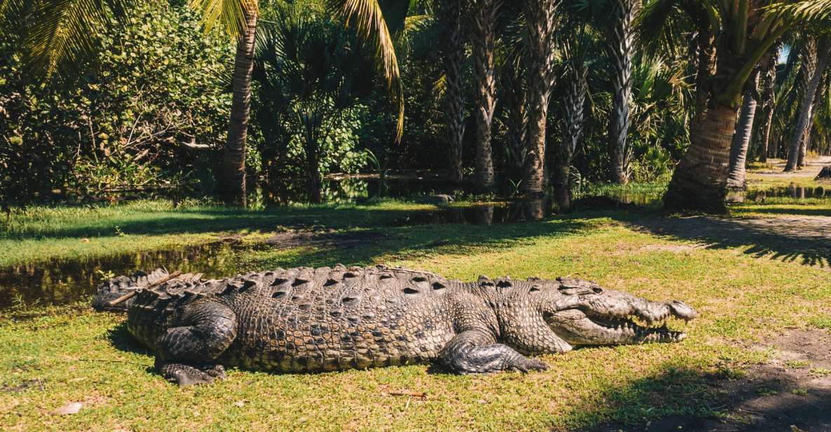Puerto Escondido: Oaxaca Coast Wildlife Ecotour - Activity Highlights
