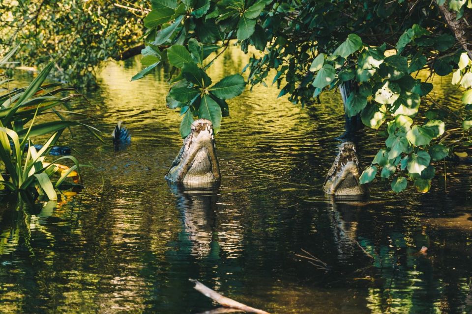Puerto Escondido: Oaxaca Coast Wildlife Ecotour - Ventanilla Ecological Park