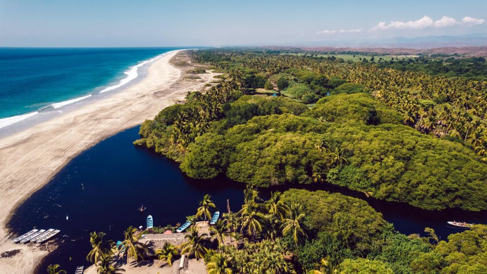 Puerto Escondido: Oaxaca Coast Wildlife Ecotour - Mangrove Boat Tour