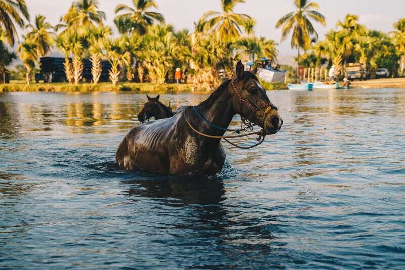 Puerto Escondido: Sunset Horse Back Riding Tour - The Cost and Overall Value