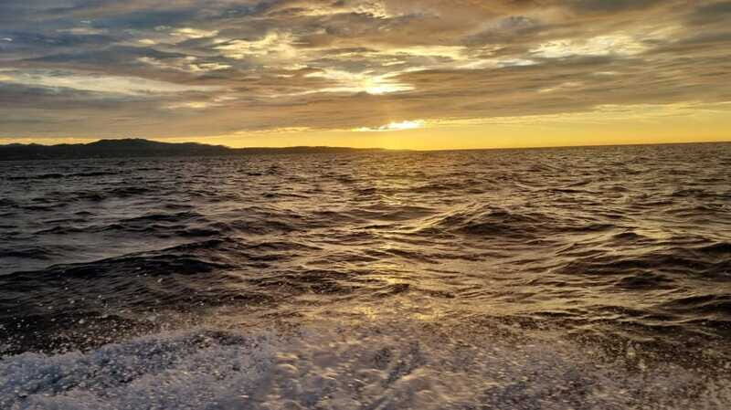 Puerto Escondido: The Best Adventure for Dolphin Watching - The Sum Up