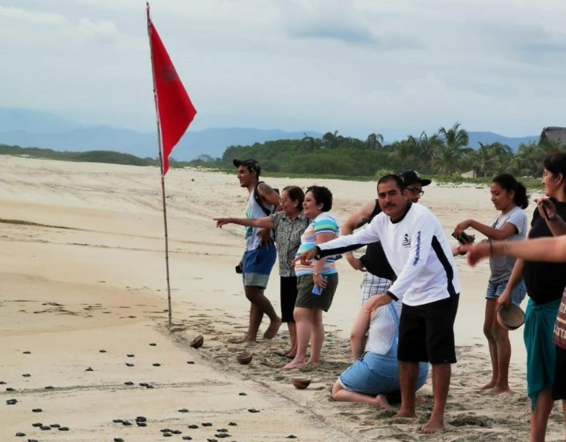 Puerto Escondido: Turtle Release Experience - Duration and Timing