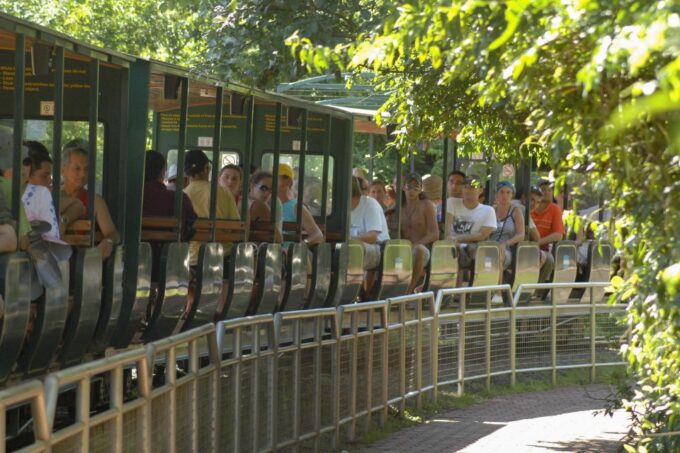 Puerto Iguazú Combo: Iguazu Falls 2 Day Tours + Transfers - Booking and Cancellation Policies