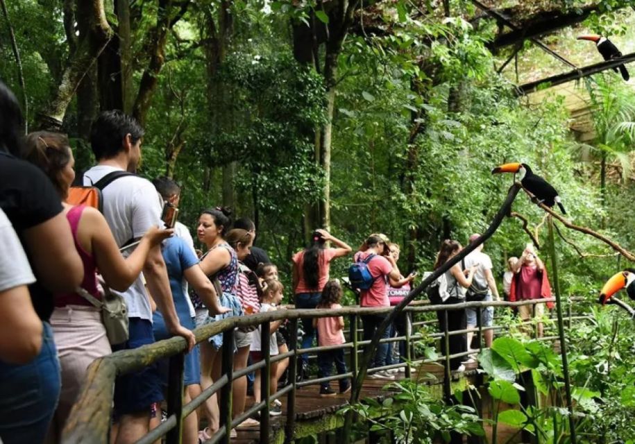Puerto Iguazu: Iguaza Falls Brazilian Side & Bird Park Tour - Highlights of Iguazu Falls