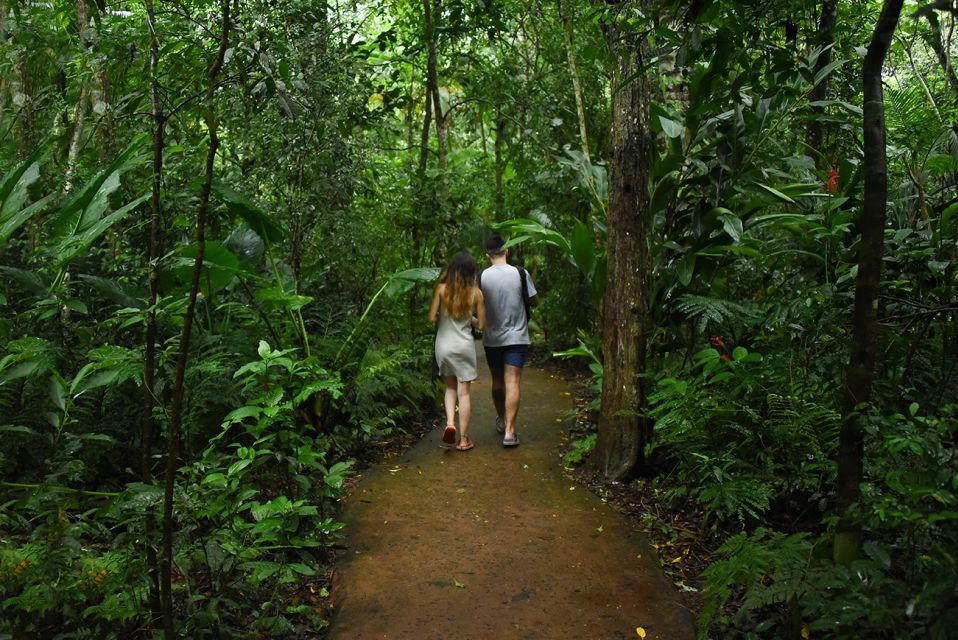 Puerto Iguazu: Iguaza Falls Brazilian Side & Bird Park Tour - Customer Feedback and Ratings